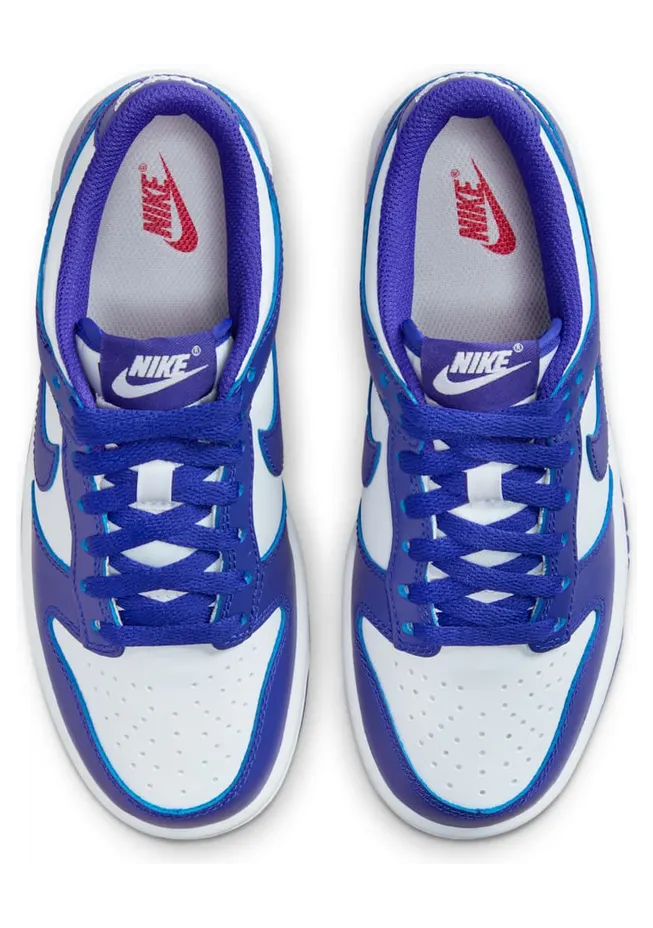 nike-dunk FB9109-106