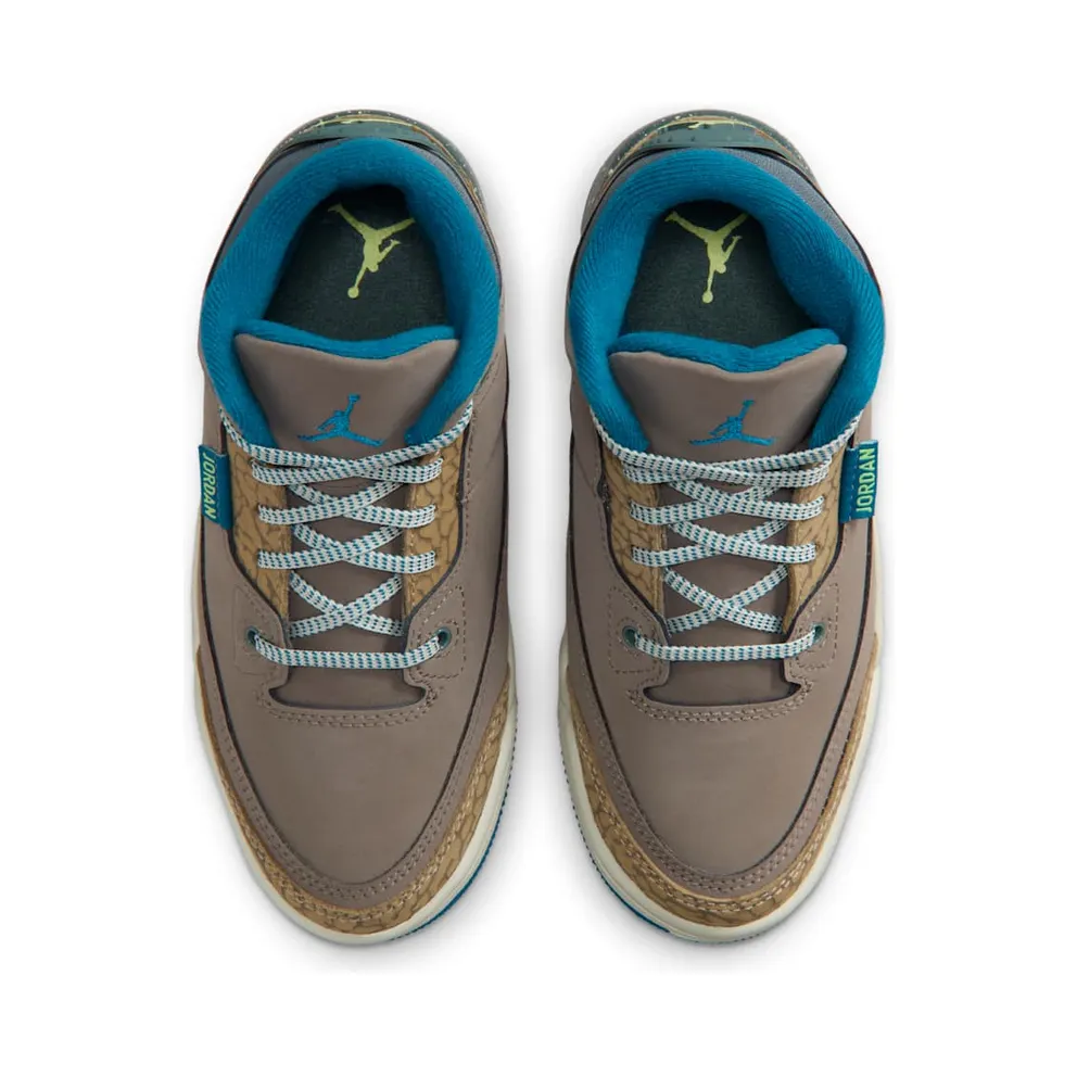 Air Jordan 3 PS “We Outside” (IB7064-001)