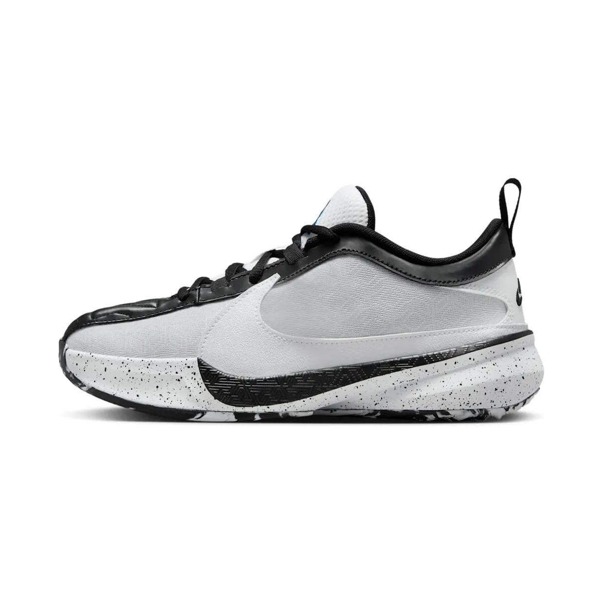nike-zoom DZ4486-100