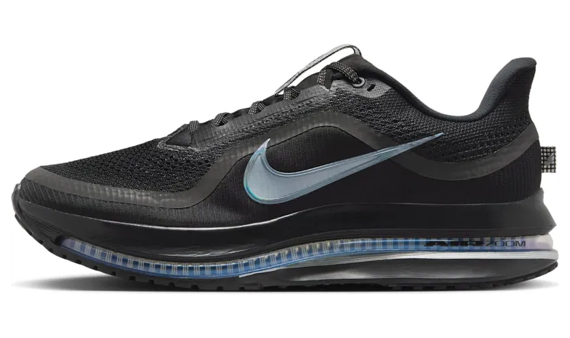 Nike Pegasus Premium “Black Metallic Silver” (HQ2592-005)