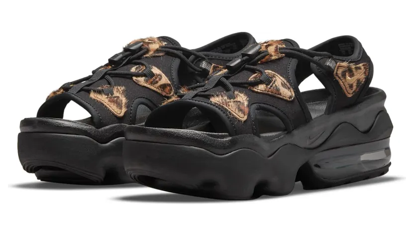 nike-air-max CI8798-004