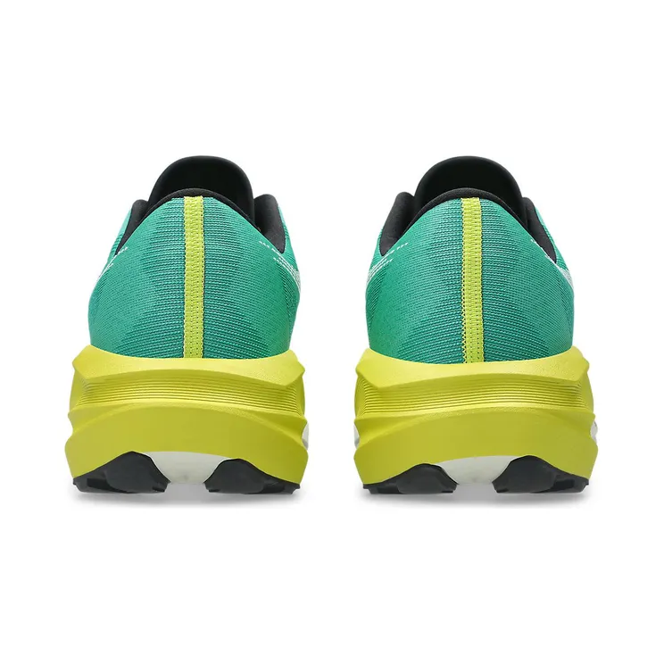 asics-novablast 1011C217-300