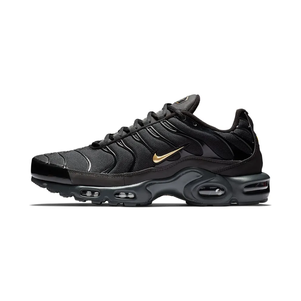 Nike Air Max Plus Black Gold (BQ3169-002)
