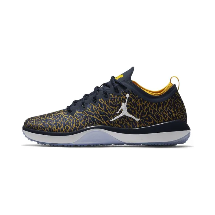 Jordan Trainer 1 Low Michigan