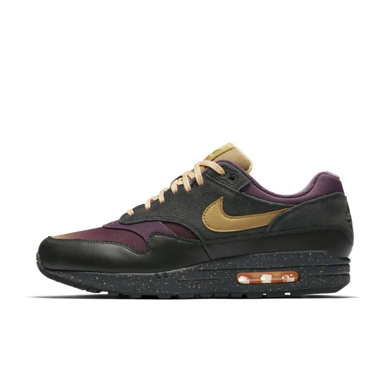 Nike Air Max 1 Pro Purple Fade Anthracite/Pro Purple-Tangerine Tint-Elemental Gold (875844-002)