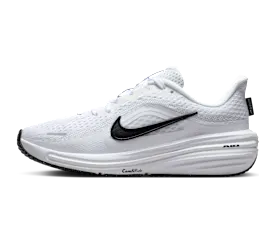 nike-winflo IQ9767-100