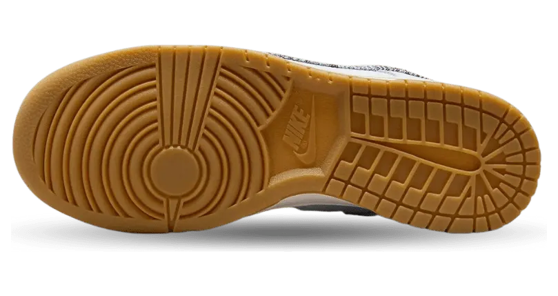 nike-dunk FN6881-100