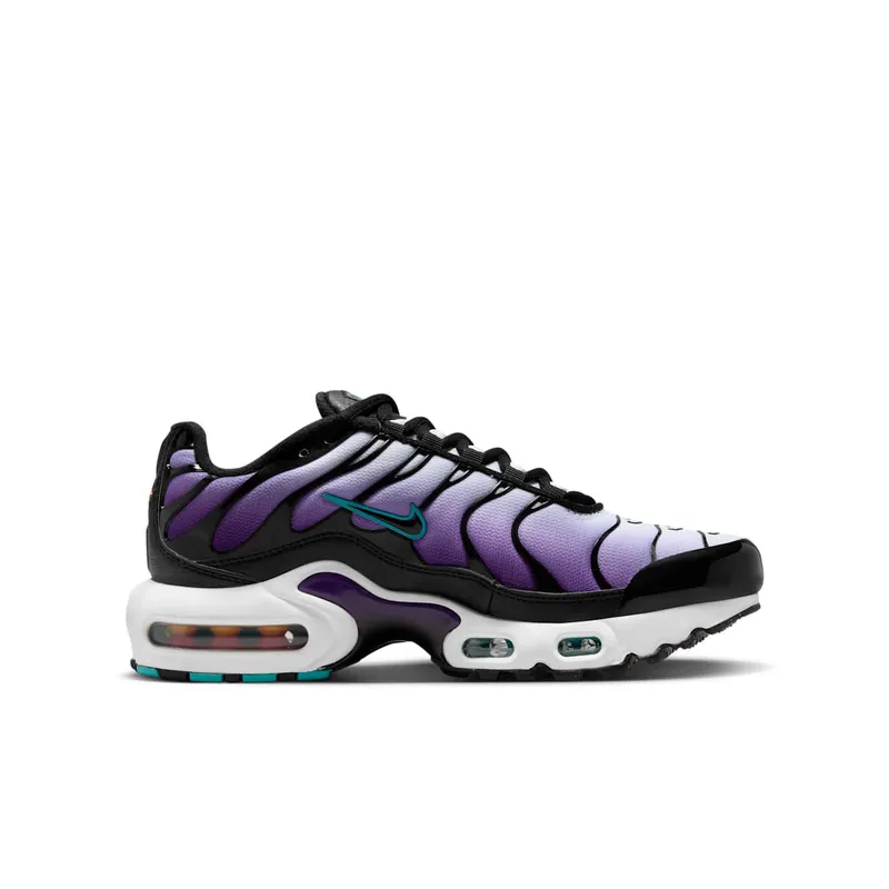 Nike Air Max Plus Reverse Grape (FQ2412-500)