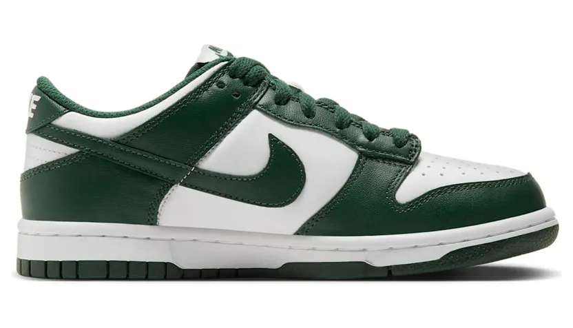 nike-dunk CW1590-102