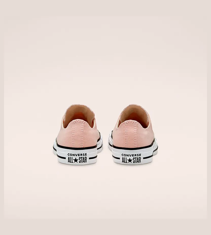 converse-chuck-taylor-all-star 167633C