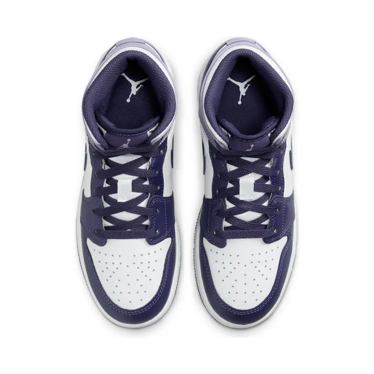 air-jordan-1 DQ8423-515
