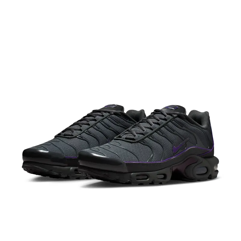 Nike Air Max Plus OG Iron Grey Wild Grape (HV8066-001)