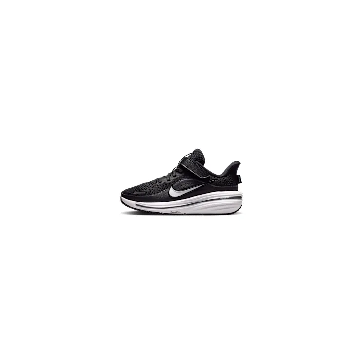 Nike Winflo 12 ‘ Road “Black / Dark Smoke Grey / White” (IQ9768-003)