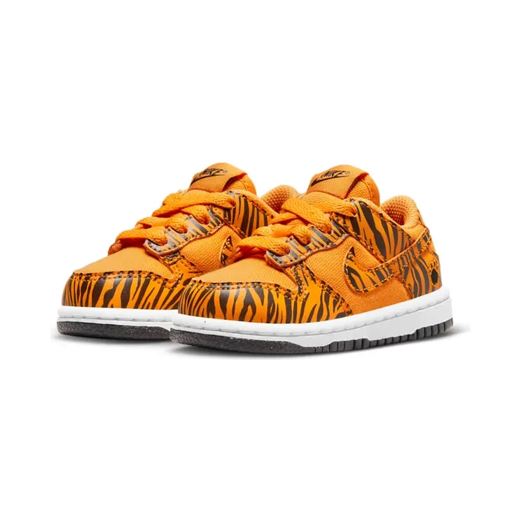 nike-dunk DZ5634-800