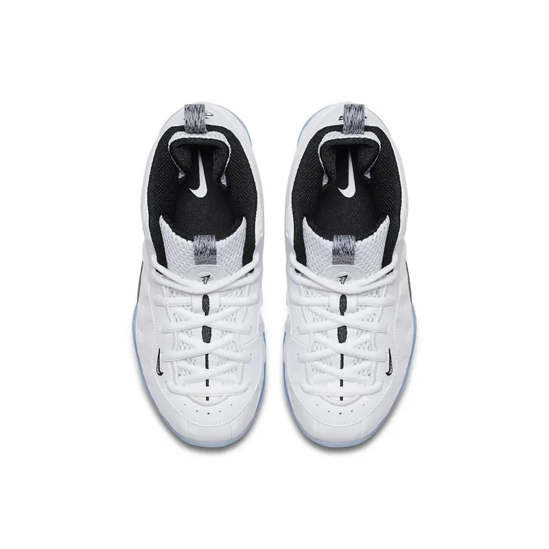 Nike Air Foamposite One White Ice (PS) White/Black (723946-102)