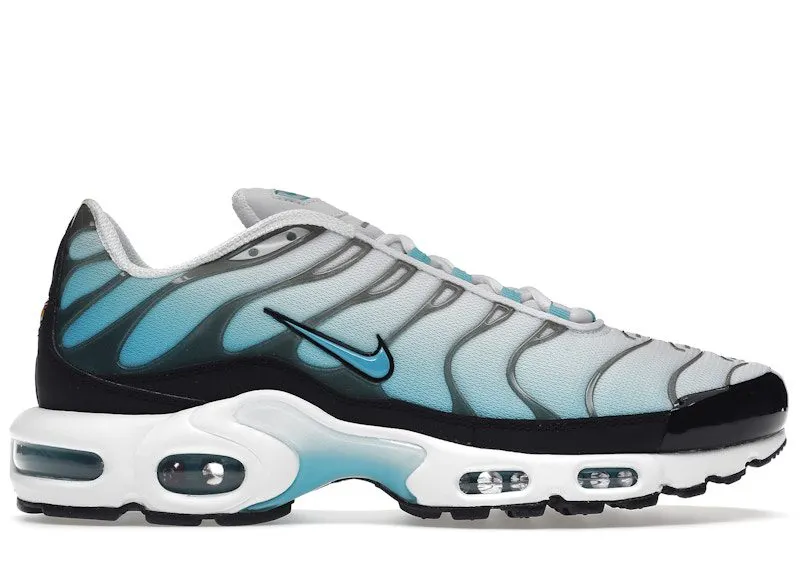 Nike Air Max Plus Baltic Blue (FD9751-100)