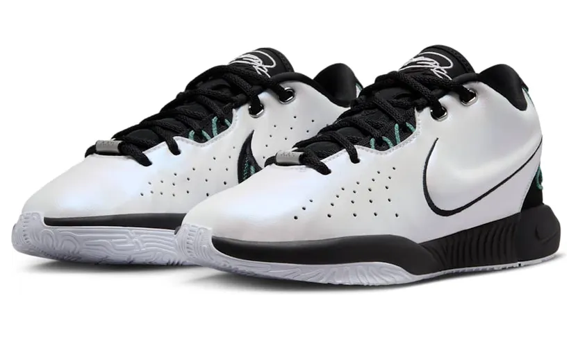 nike-lebron FZ7189-100