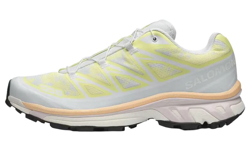 Salomon XT-6 “Alpen Blossom Ice Flow” (L47971-300)