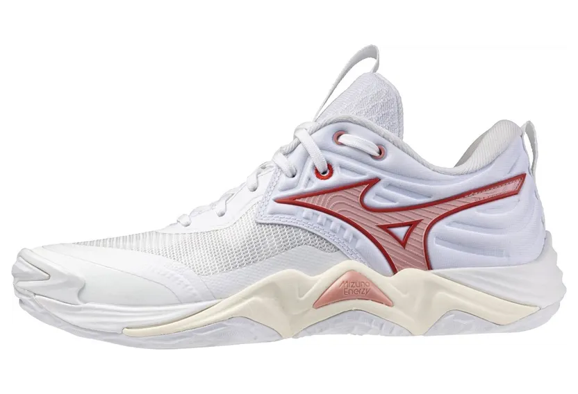 Mizuno Wave Momentum Wit (V1GC251273)