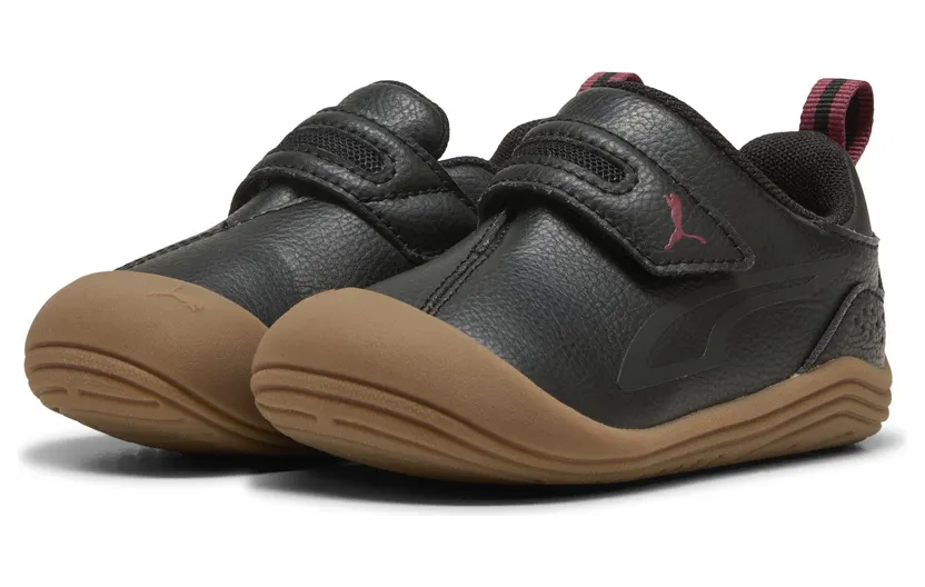 puma-kitten 402848_01