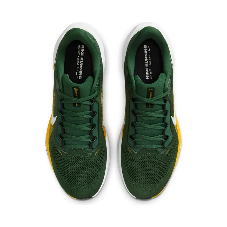 nike-air-zoom IB3216-300