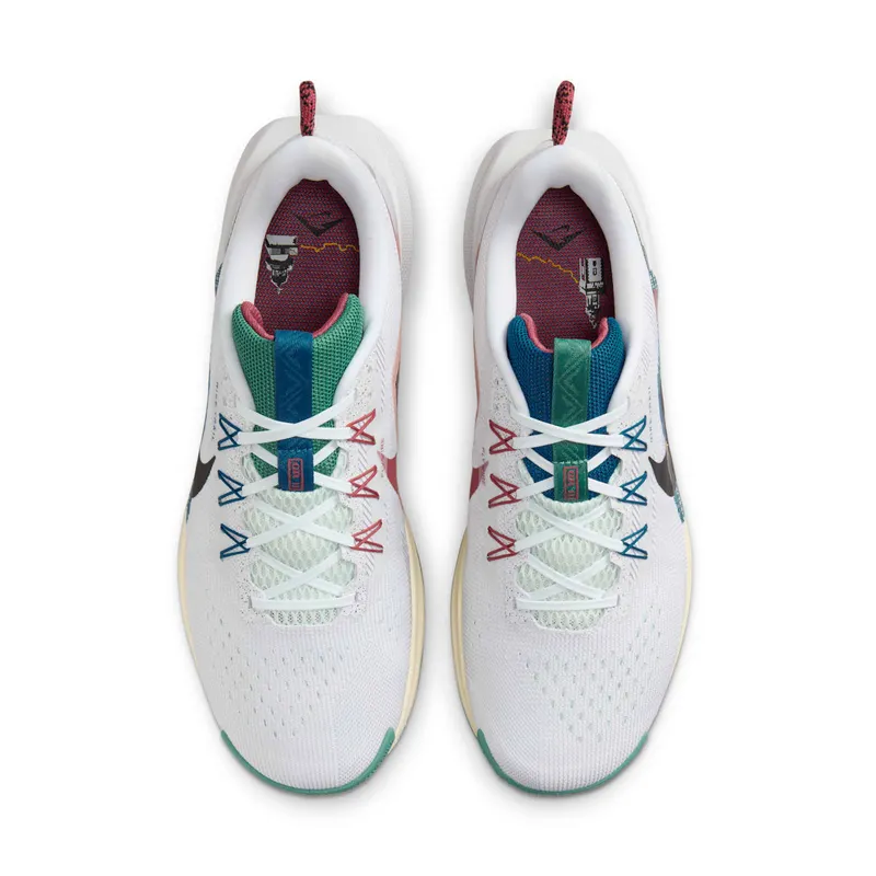 Nike Pegasus Trail 5 Court Blue Cedar (DV3864-100)