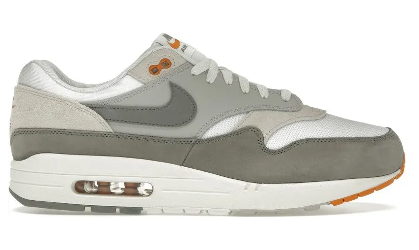Nike Air Max 1 Light Iron Ore Flat Pewter (IB1492-121)