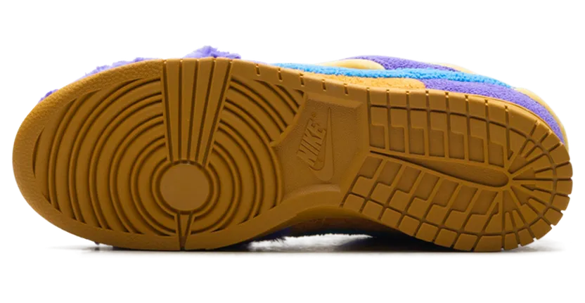 nike-dunk IH5094-500