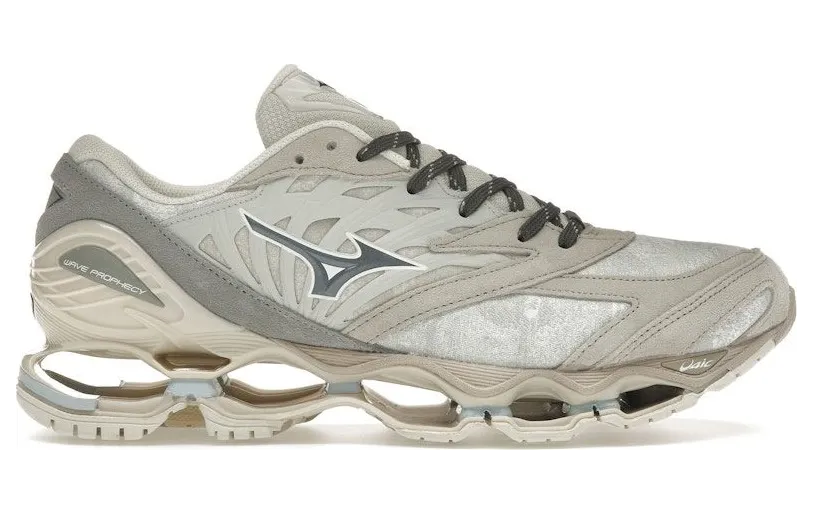 Mizuno Wave Prophecy LS Mimetics Pack Nimbus Cloud (D1GA245401)
