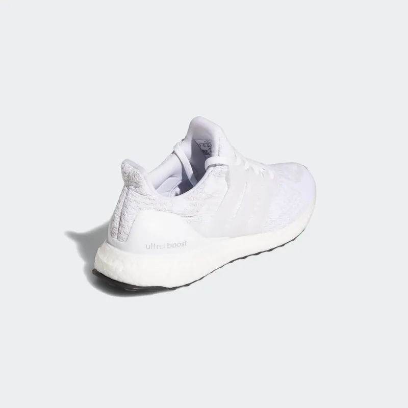 adidas Ultraboost 5.0 DNA Cloud White / Cloud White / Dash Grey (GX4106)