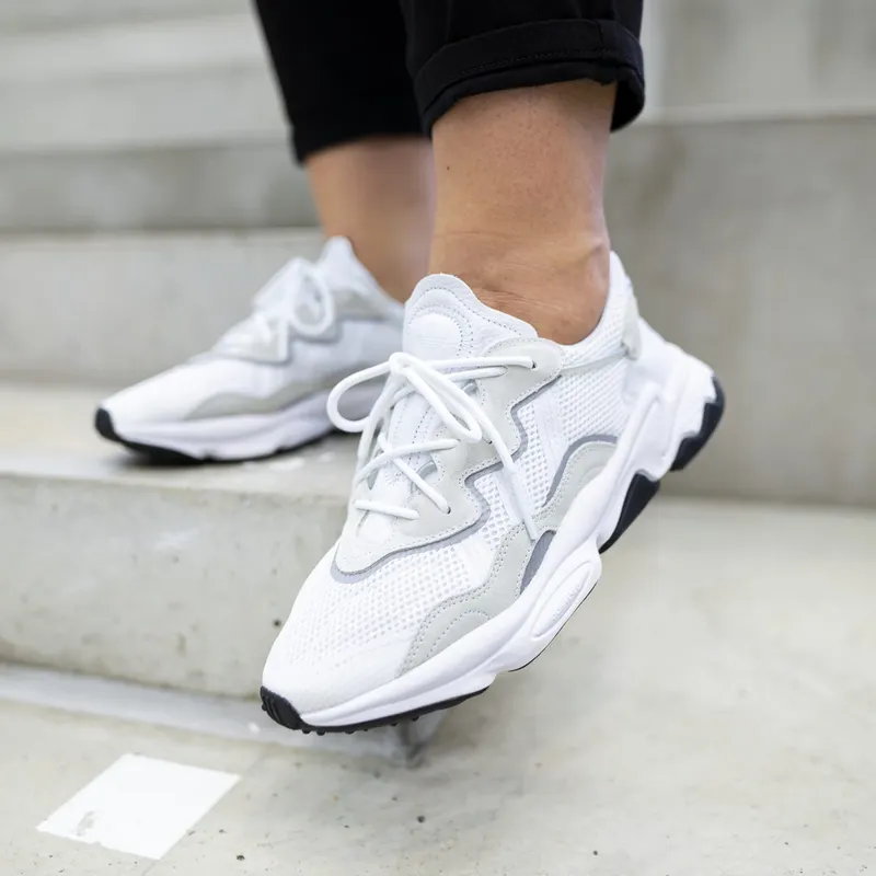 adidas-x-raf-simons-ozweego EE6464