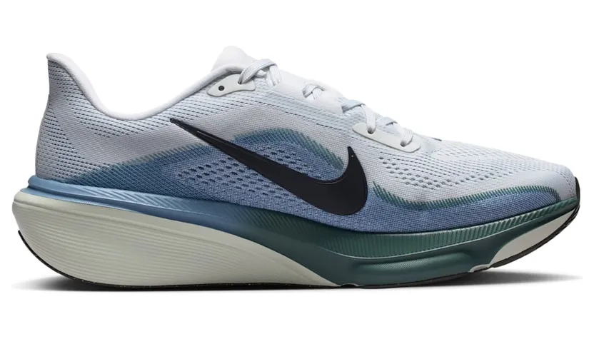 nike-air-pegasus IB1873-005