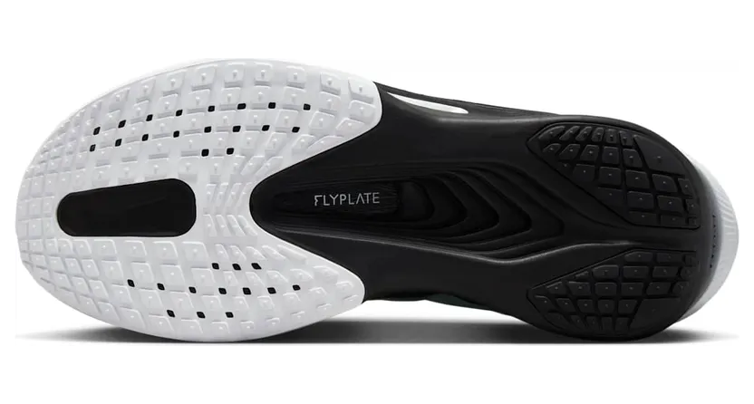 nike-zoom FN8454-100