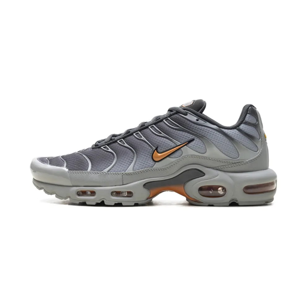 Nike Air Max Plus “Light Smoke Grey Hot Curry” (DM0032-037)