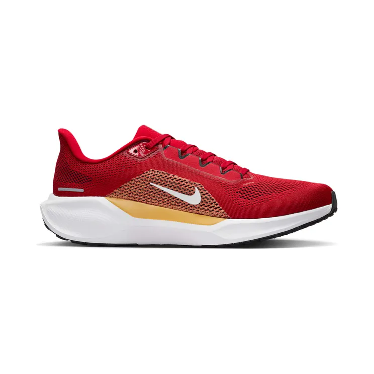 nike-air-zoom IB3186-600