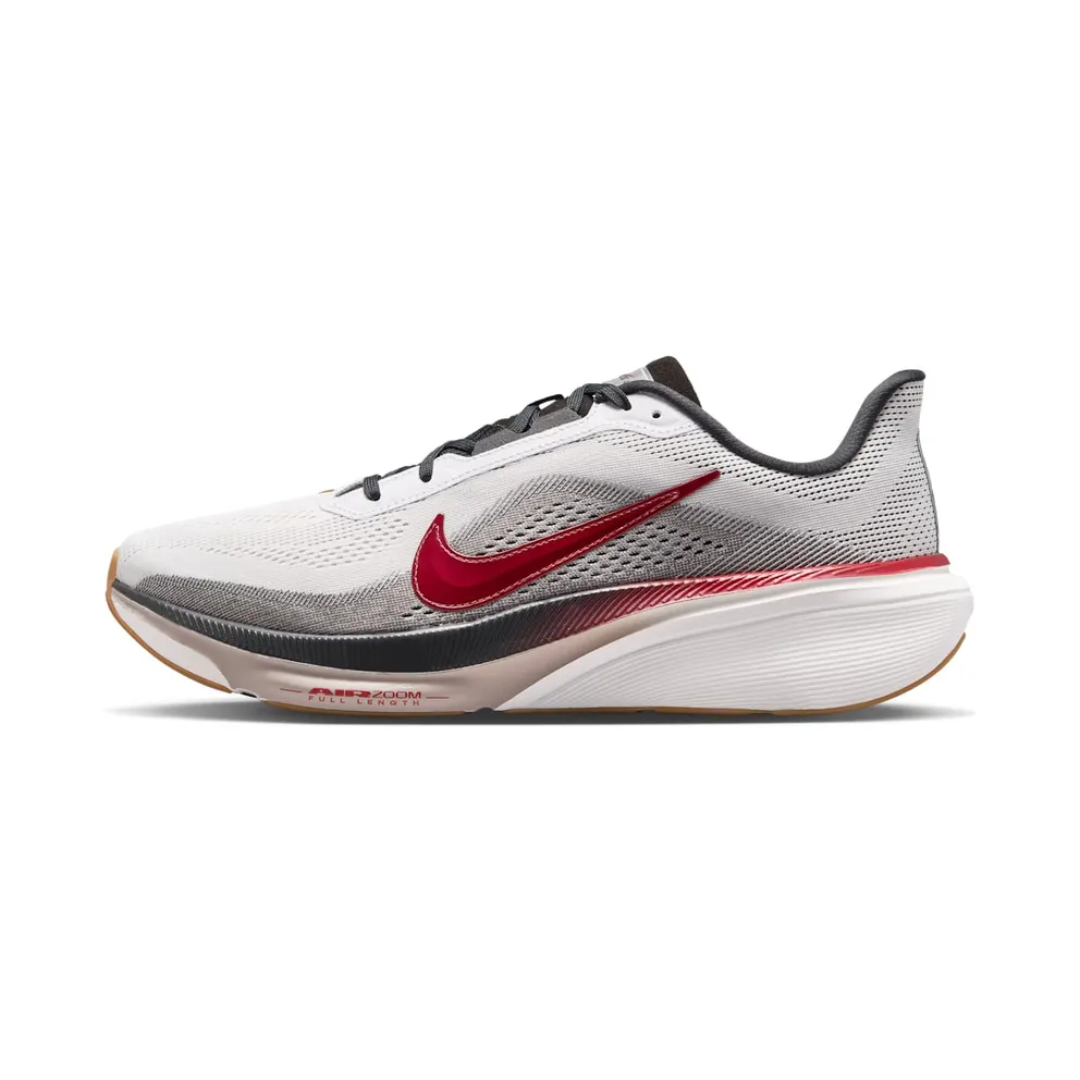 Nike Air Zoom Pegasus 42 Now & Then Pack (IV5659-121)