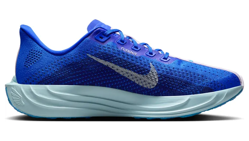 nike-air-pegasus HQ1719-400