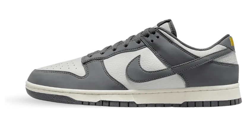 Nike Dunk Low Next Nature Iron Grey (FZ4621-001)