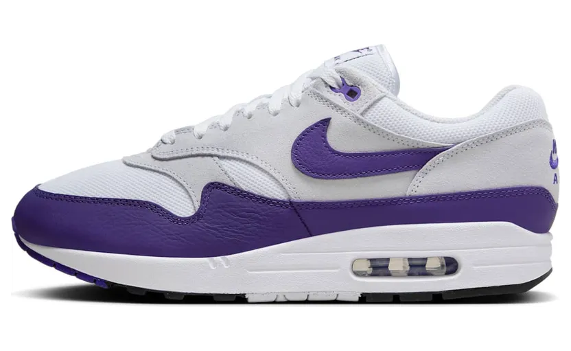 Nike Air Max 1 SC “Field Purple” (DZ4549-101)