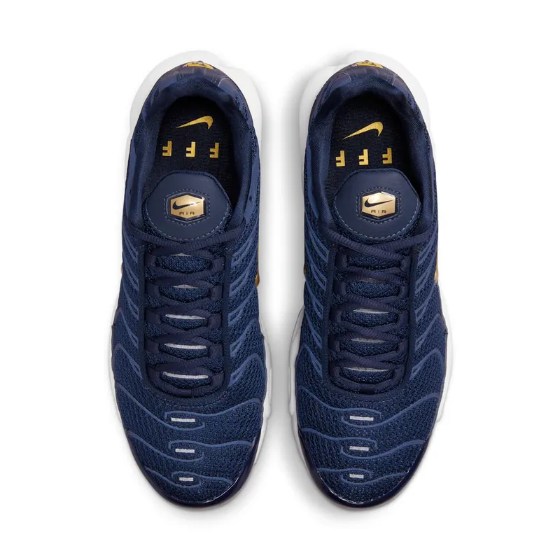 Nike Air Max Plus FFF (FB3350-400)