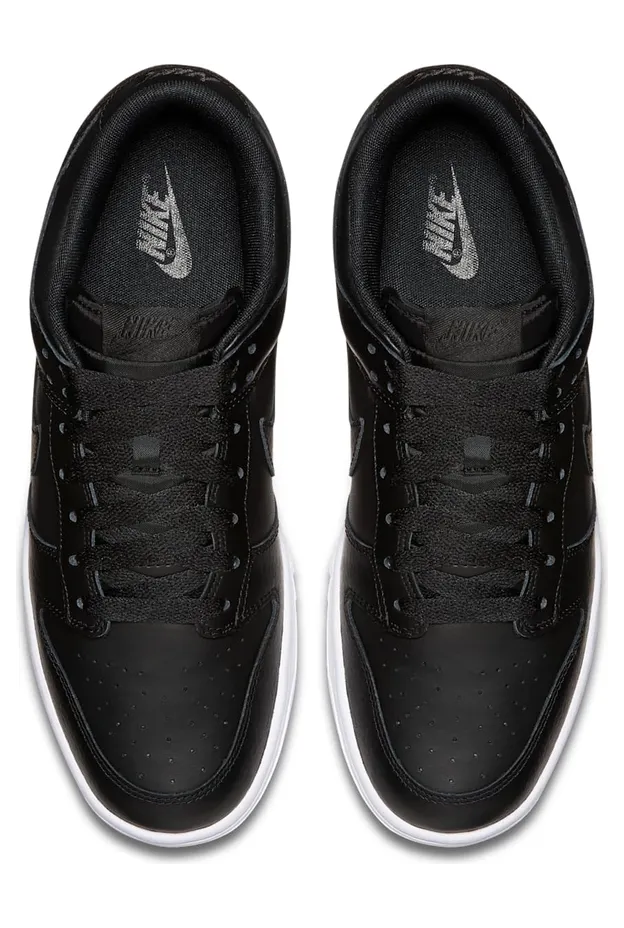 nike-dunk 904234-003