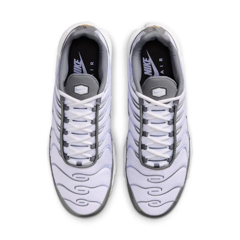Nike Air Max Plus Smoke Grey/Light Armory Blue/Dark Smoke Grey/White (IV5757-070)