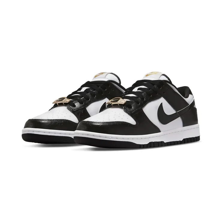 nike-dunk DR9511-100