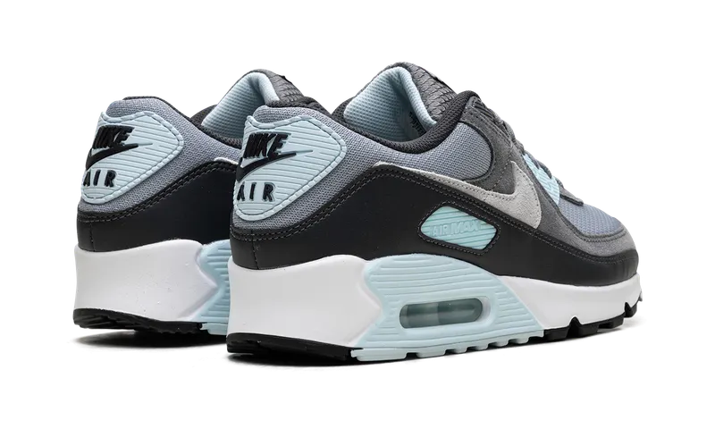 Nike Air Max 90 “Pumice” (DM0029-009)