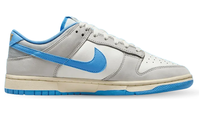 nike-dunk FN7488-133