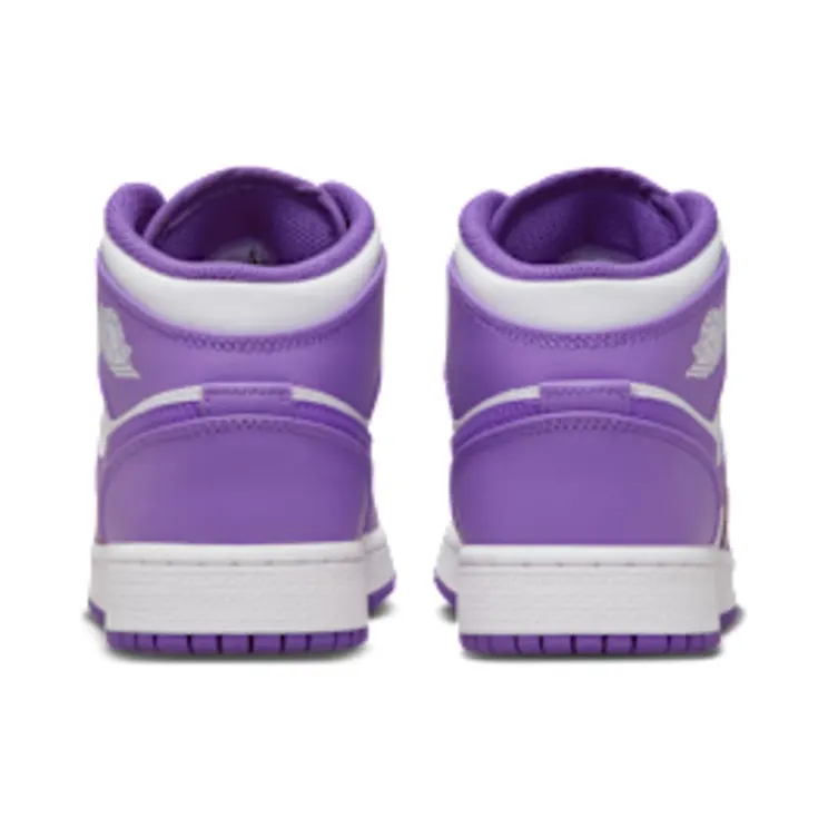 air-jordan-1 DQ8423-511