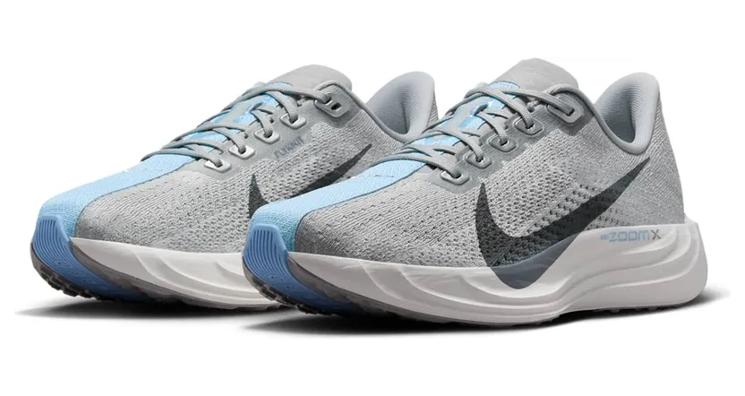 nike-air-pegasus FQ7261-004