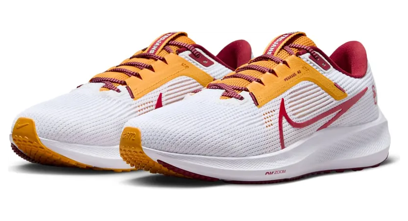 nike-air-pegasus DZ6003-100