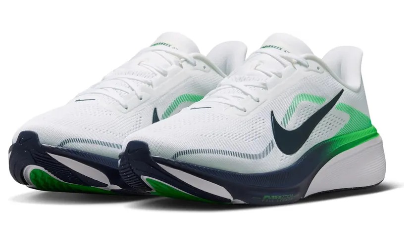 nike-air-pegasus IB1873-107