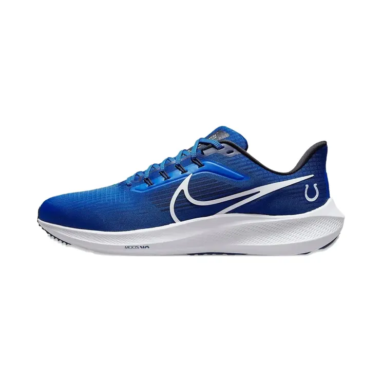 Nike Pegasus 39 low-top “Blue” (DR2046)